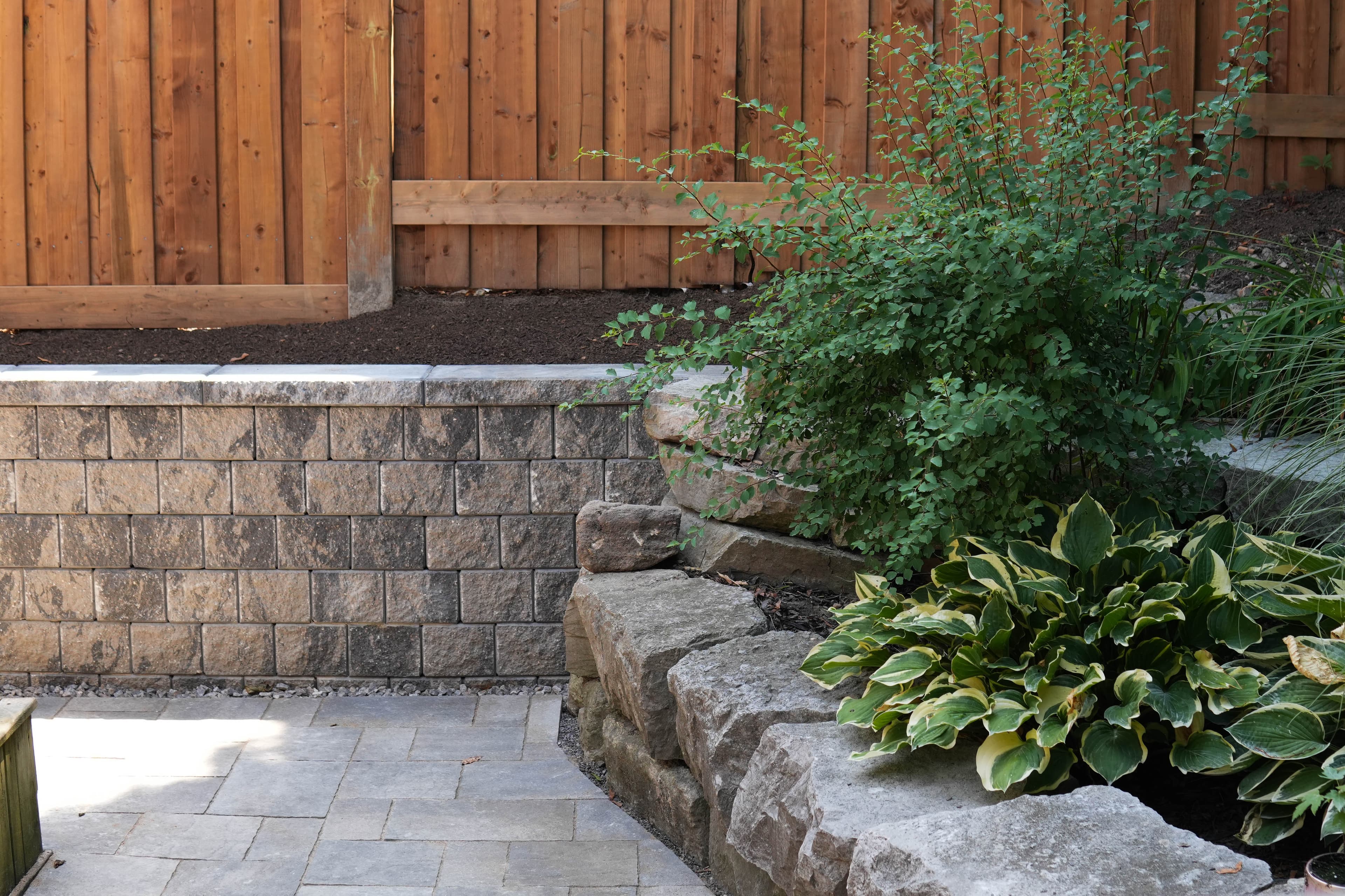 Stone retaining wall and planting bed with hostas and shrubs beside a paver patio in Mississauga