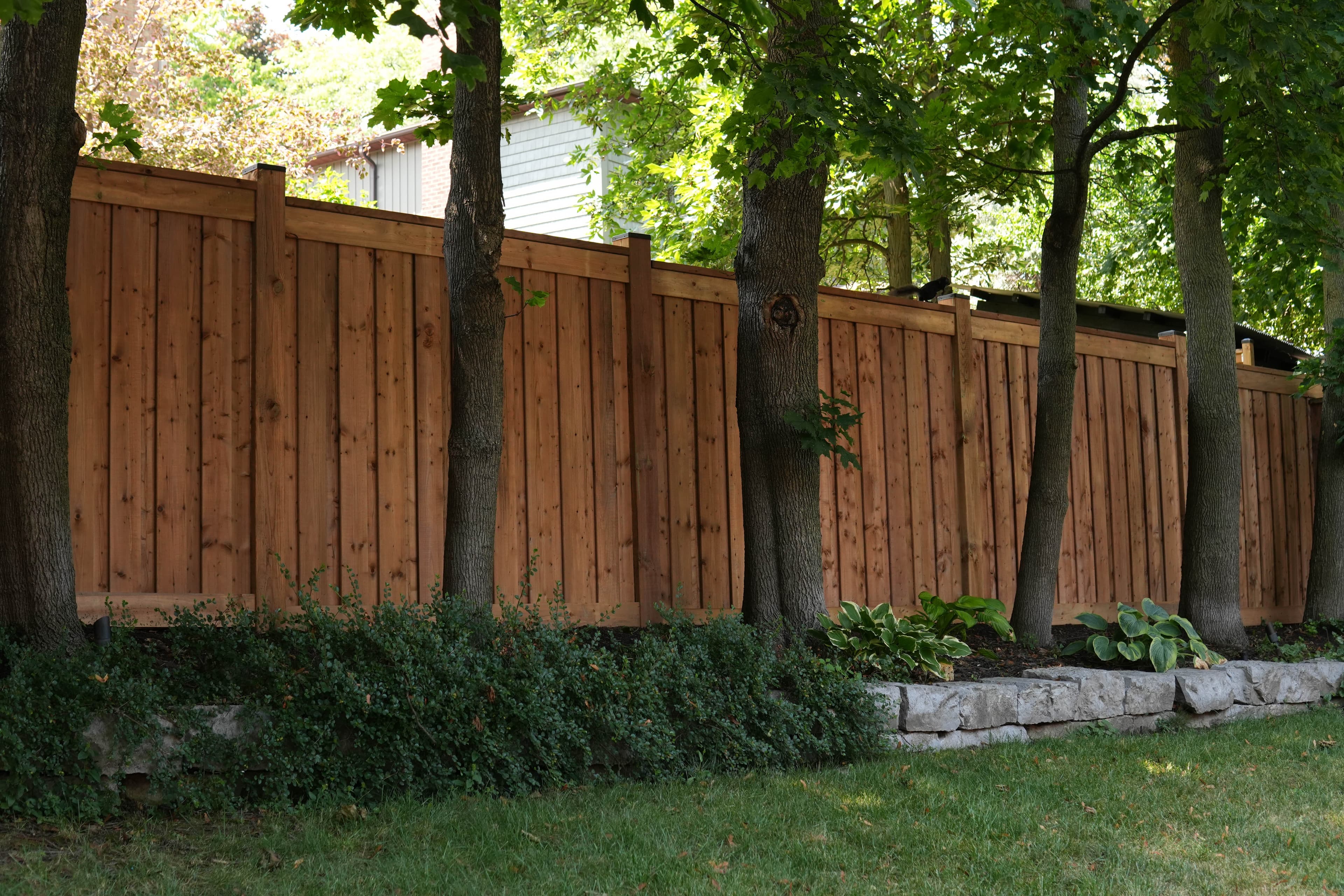 New wood privacy fence running between mature trees with a natural stone garden edge in Mississauga